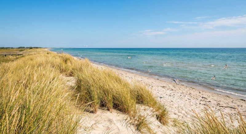 Gollendorfer Strand